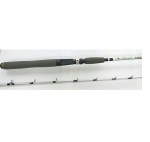 VARA INTERGREEN AGATA 1401 6/15L CARRET