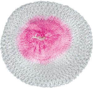 CAMISINHA YANKEE 300/400 4X1