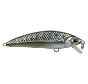 ISCA MARINE INNA PRO 70  COR116