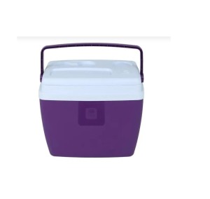 CAIXA TERMICA 34L BEL - ACAI