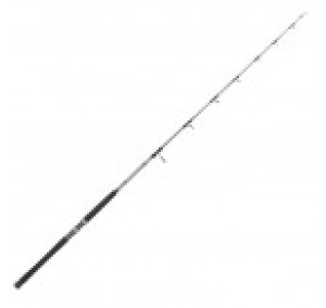 VARA MS GIANT CATFISH GC-2S 661 XH 60-120LBS -